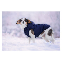 Vsepropejska Fala zimní bunda s kapucí pro psa Barva: Modrá, Délka zad (cm): 22, Obvod hrudníku: