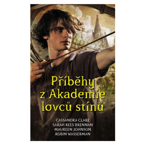 Příběhy z Akademie Lovců stínů #booklab