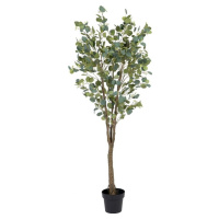 Umělý eukalyptus (výška 173 cm) Eucalyptus – Ixia