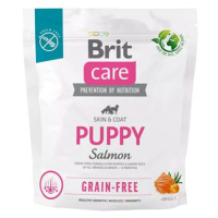 Brit Care Dog Grain-free s lososem Puppy 1 kg