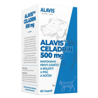 Alavis Celadrin pro psy a kočky 500 mg 60 kapslí