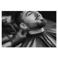 Fotografie Professional hairdresser working with bearded client, Liudmila Chernetska, 40 × 26.7 