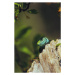 Umělecká fotografie European green lizard (Lacerta viridis), Marko Petkovic Visual, (26.7 x 40 c