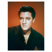 Fotografie Elvis Presley 1963, 30 × 40 cm