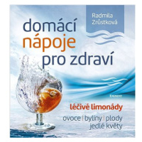 Domácí nápoje pro zdraví: léčivé limonády, ovoce, byliny, plody, jedlé květy