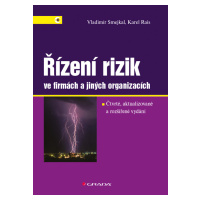 Kniha: Řízení rizik ve firmách a jiných organizacích od Smejkal Vladimír