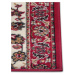 Hanse Home Collection koberce AKCE: 80x200 cm Běhoun Basic 105494 Red Creme - 80x200 cm