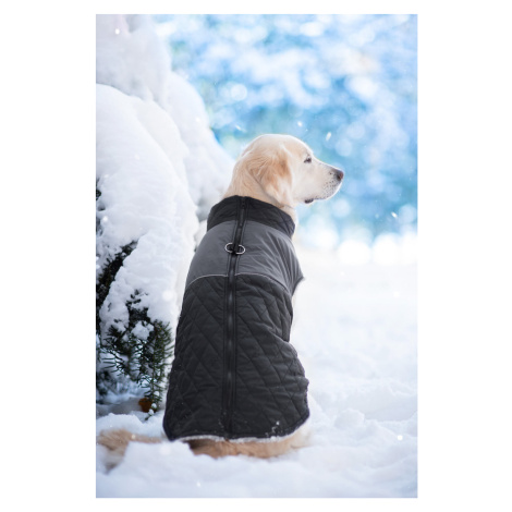 Vsepropejska Terenc obleček pro psa na zip Barva: Červená, Délka zad (cm): 40, Obvod hrudníku: 5