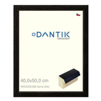 DANTIK rámeček 40 × 50, WOODLINE černý plexi čiré