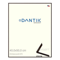 DANTIK rámeček 40 × 50, ALU profil 7273 Dýha wenge tmavý sklo čiré