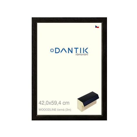 DANTIK rámeček 42 × 59,4, WOODLINE černý plexi čiré