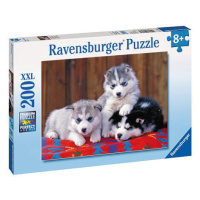 Ravensburger Štěňata Husky 200 XXL dílků