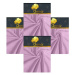 Chanar Prostěradlo Jersey Standard 90 × 200 cm, 4 ks, světle fialové