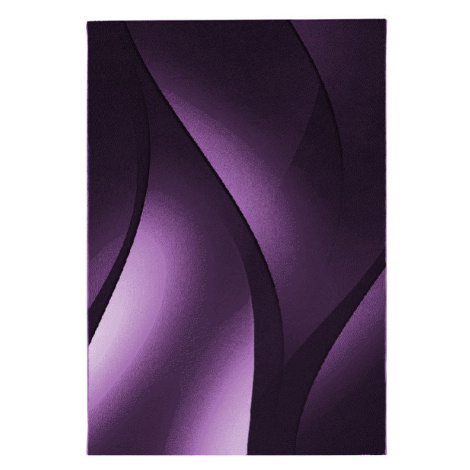 Ayyildiz, Kusový koberec Plus 8010 lila, 120x170, fialová, obývací pokoj