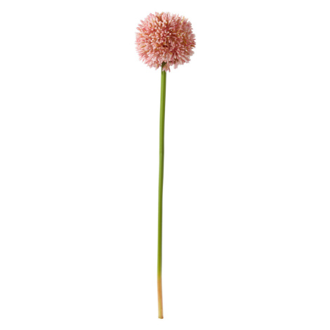 Umělá Květina Allium I -Paz Möbelix