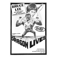 Ilustrace Bruce Lee Man Myth 02, 30 × 40 cm