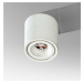 LED Stropní a nástěnné přisazené svítidlo AZzardo Costa white/white AZ2856 12W 1020lm 3000K IP20