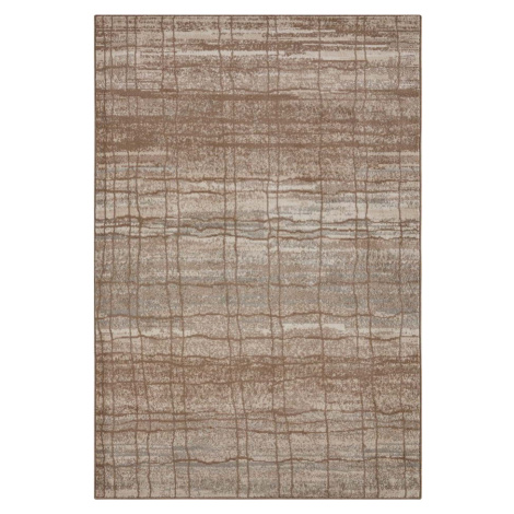 Hnědo-béžový koberec 280x200 cm Terrain - Hanse Home