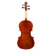 Bacio Instruments AA50 Concert Viola 16