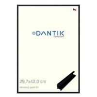 DANTIK rámeček 29,7 × 42, ALU profil 7001 Černý matný plexi čiré