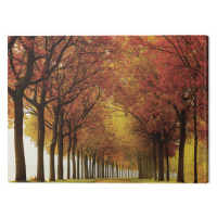 Obraz na plátně Lars Van De Goor - So Full, 2 - 80×60 cm