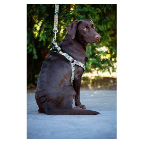 Vsepropejska Zandy postroj pro psa s vodítkem | 58 – 68 cm