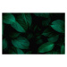 Fotografie closeup nature view of green leaf background, Thanabodin Jittrong, 40 × 26.7 cm