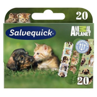 SALVEQUICK Náplast pro děti Animal Planet 20 ks