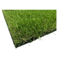 Lano - koberce a trávy AKCE: 160x300 cm Umělá tráva Rosemary metrážní - Rozměr na míru cm