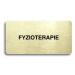 Accept Piktogram "FYZIOTERAPIE" (160 × 80 mm) (zlatá tabulka - černý tisk bez rámečku)
