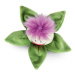 NICI Květina Willibald Aloe Vera GREEN 18 cm
