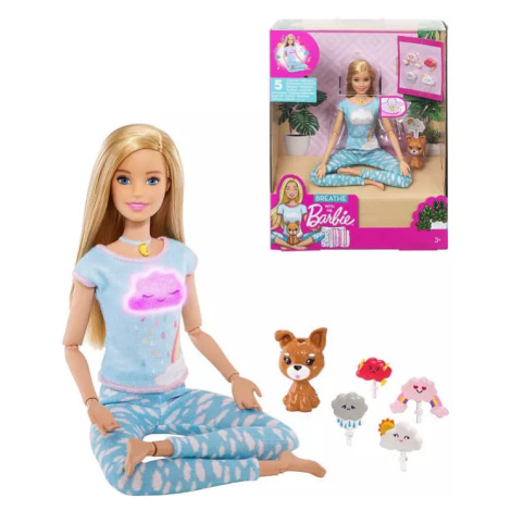 Barbie wellness a meditace set panenka s pejskem a doplňky Mattel