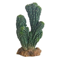 Hobby Kaktus Victoria 19 cm