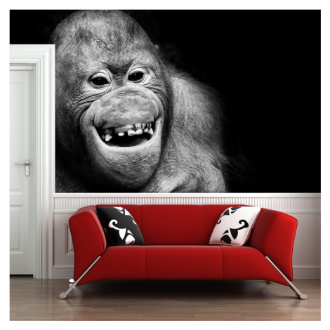 Sablio Tapeta Orangutan - 125x75 cm