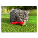 Aumüller polštářek pro kočky na hraní ve tvaru chili