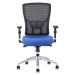 Kancelářská židle na kolečkách Office Pro HALIA MESH BP – s područkami a bez opěrky hlavy Šedá 2