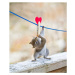 Umělecká fotografie Squirrel twisting to lick peanut, Nancy Rose, (35 x 40 cm)