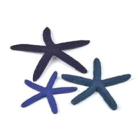 biOrb Starfish set 3 modrá