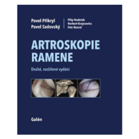 Artroskopie ramene - Pavel Sadovský, Pavel Přikryl, Filip Hudeček, Norbert Krajcsovics, Petr Neo