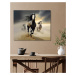 Obrazy na stěnu - Běžící koně v písku 1 Rozměr: 80x100 cm, Rámování: vypnuté plátno na rám