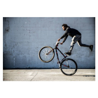 Fotografie Young male BMX rider performing wheelie, MoMo Productions, 40 × 26.7 cm