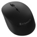 Eternico Wireless 2.4 GHz Basic Mouse MS100 černá