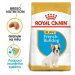 Royal canin Breed Fr. Buldoček Junior 3kg