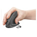 TRUST Myš Verto wireless ergonomic mouse USB, black (černá)