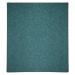Vopi koberce Kusový koberec Astra zelená čtverec - 250x250 cm