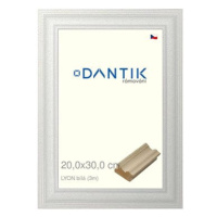 DANTIK rámeček 20 × 30, LYON Bílý sklo čiré