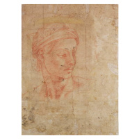 Michelangelo Buonarroti - Obrazová reprodukce Study of a Head, (30 x 40 cm)