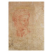 Obrazová reprodukce Study of a Head, Michelangelo Buonarroti, 30x40 cm