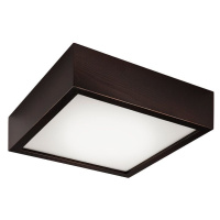 Stropní svítidlo Lamkur LED LD-PD 9.1 32726