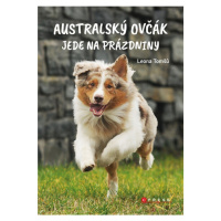 Australský ovčák jede na prázdniny CPRESS